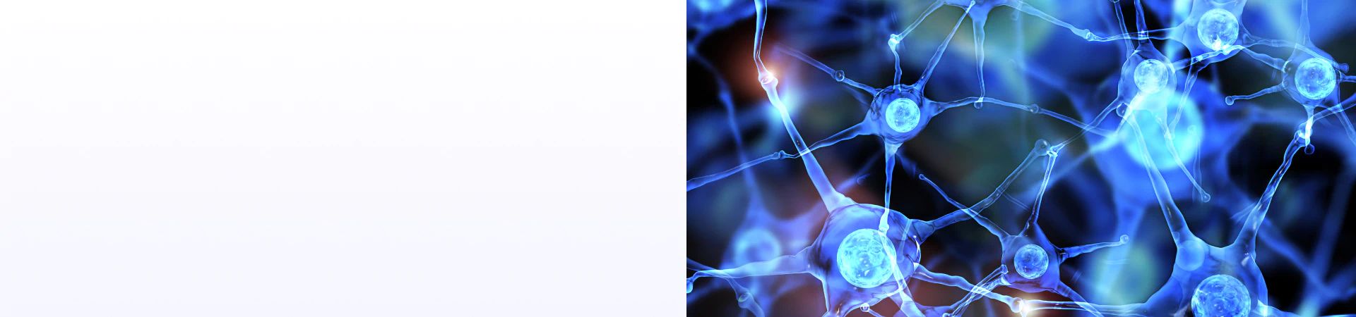 Nervous system visual