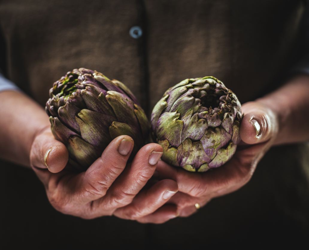 artichoke