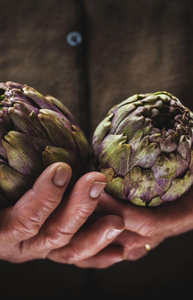 artichoke
