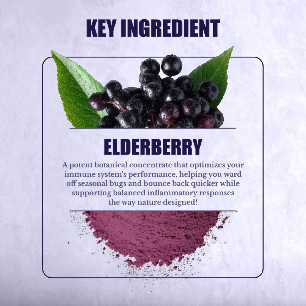 Elderberry