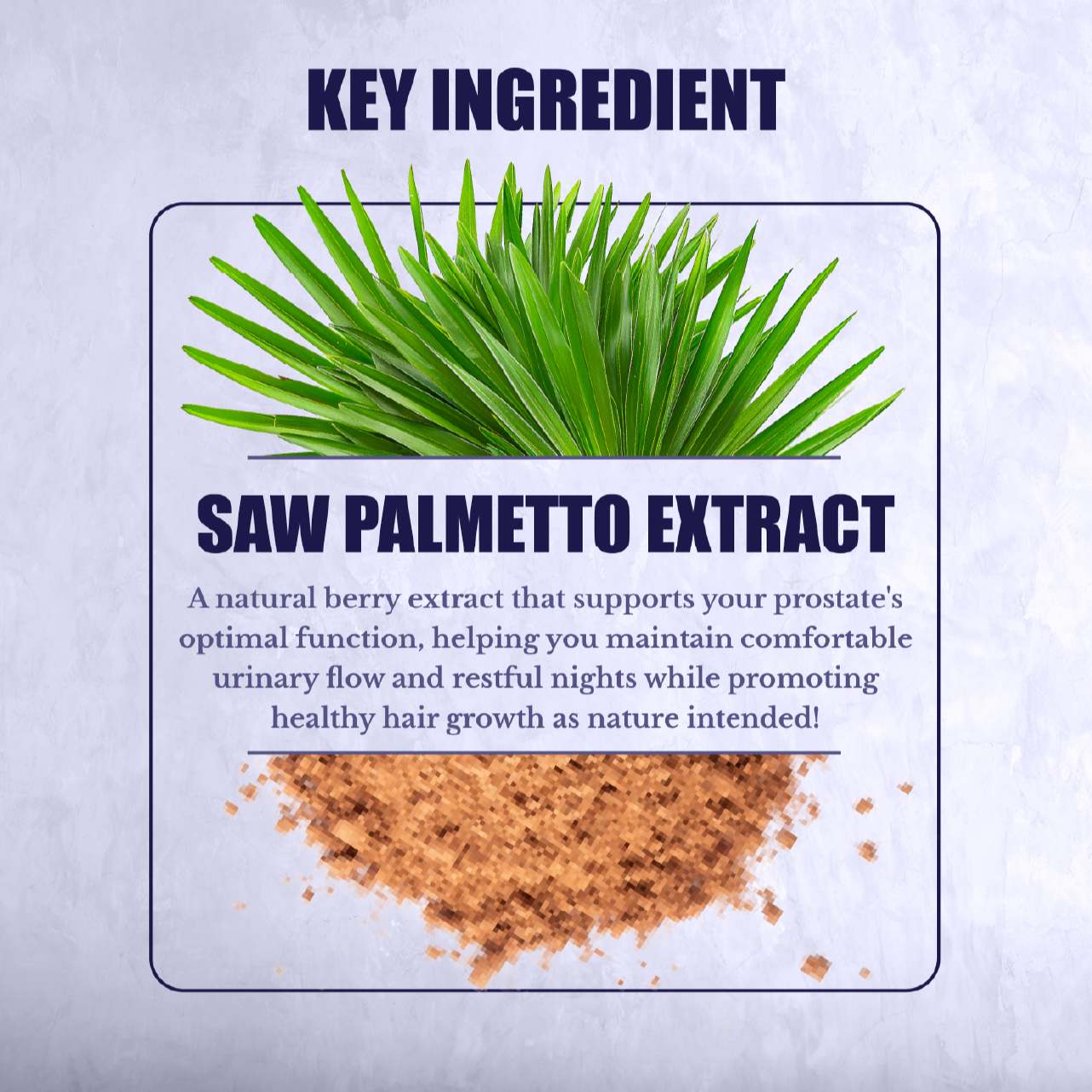 Saw Palmetto