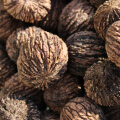 ingredient icon