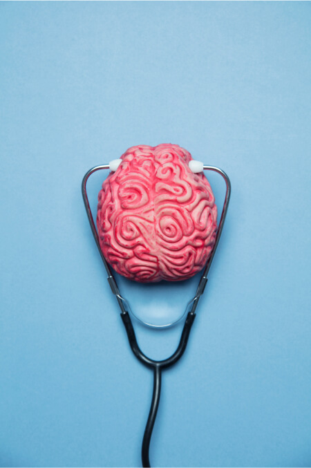 Brain