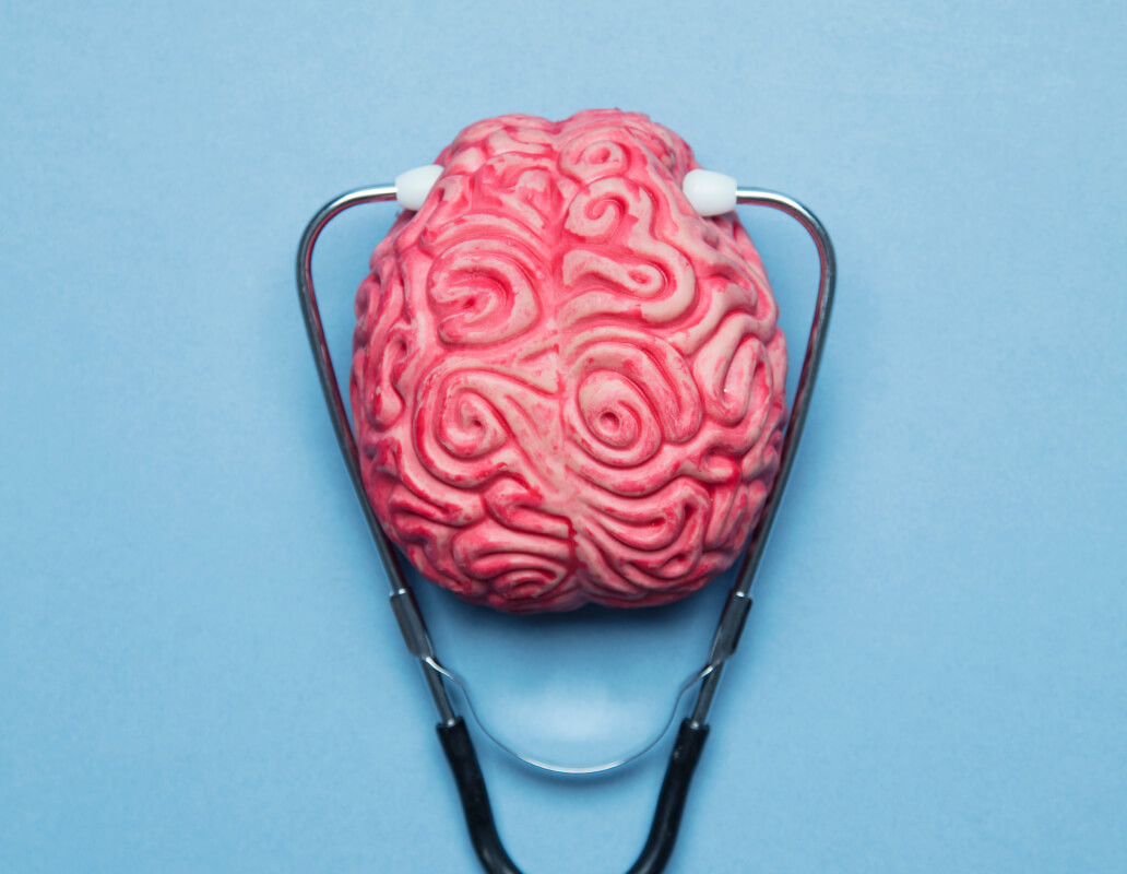 Brain
