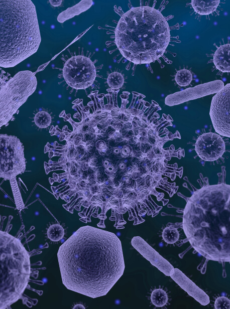 virus