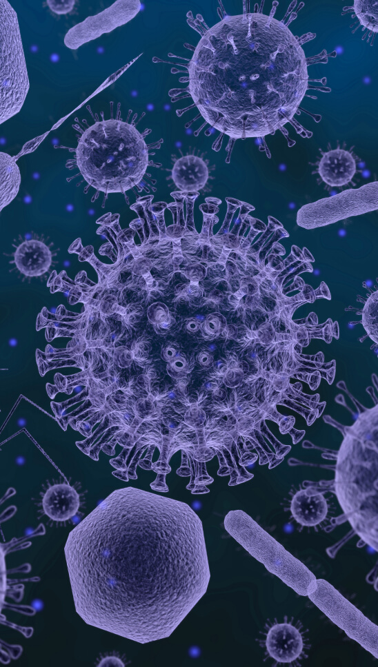 virus