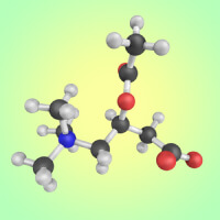 ingredient icon