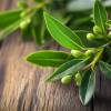 ingredient icon