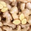 ingredient icon