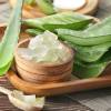 ingredient icon